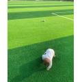 Gazon artificiel pour terrain de rugby en gazon de rugby