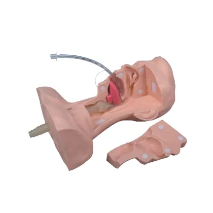 PVC Advanced Sputum Suction Nursing Manikin SC-H85
