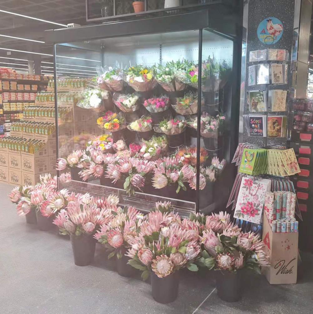 Vertical frozen florist refrigerated display case