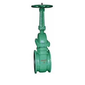 Vacuum isolated power plant gate valve