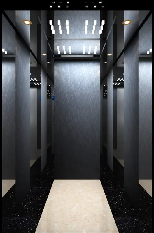 Sydney 800kg 1.75m/s Passenger House Panoramic Cargo Residential Elevator