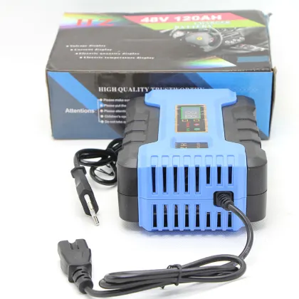 Anhui YouXin Intelligent Universal Battery Charger - 12v, 24v, 72v