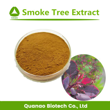 Pharmaceutical Smoke Tree Extract Fisetin 98% HPLC Powder