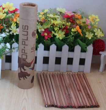 color pencil set 18 different colors personalized color pencil