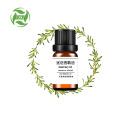 Private label organic rosemary massage essential oil