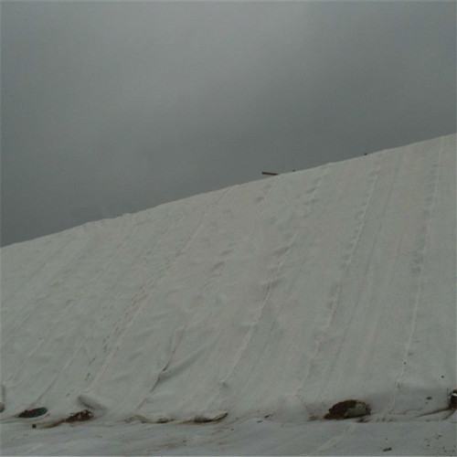 Geotessile non tessuto in polipropilene di protezione delle pendenze 450g