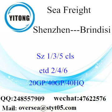 Frete marítimo do porto de Shenzhen que envia a Brindisi