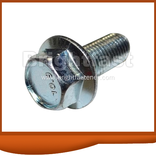 Stainless Steel Metric Flange Bolts