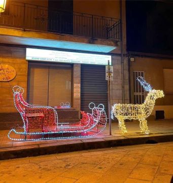 Best Quality Luminous Santa Sleigh and Reindeer LED Motif Lights