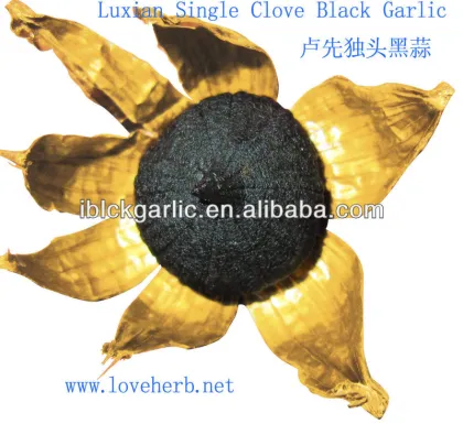 Single Black Garlic