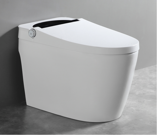 Capteur One Piece Toilet en blanc