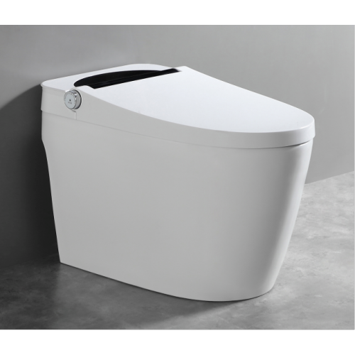 Capteur One Piece Toilet en blanc