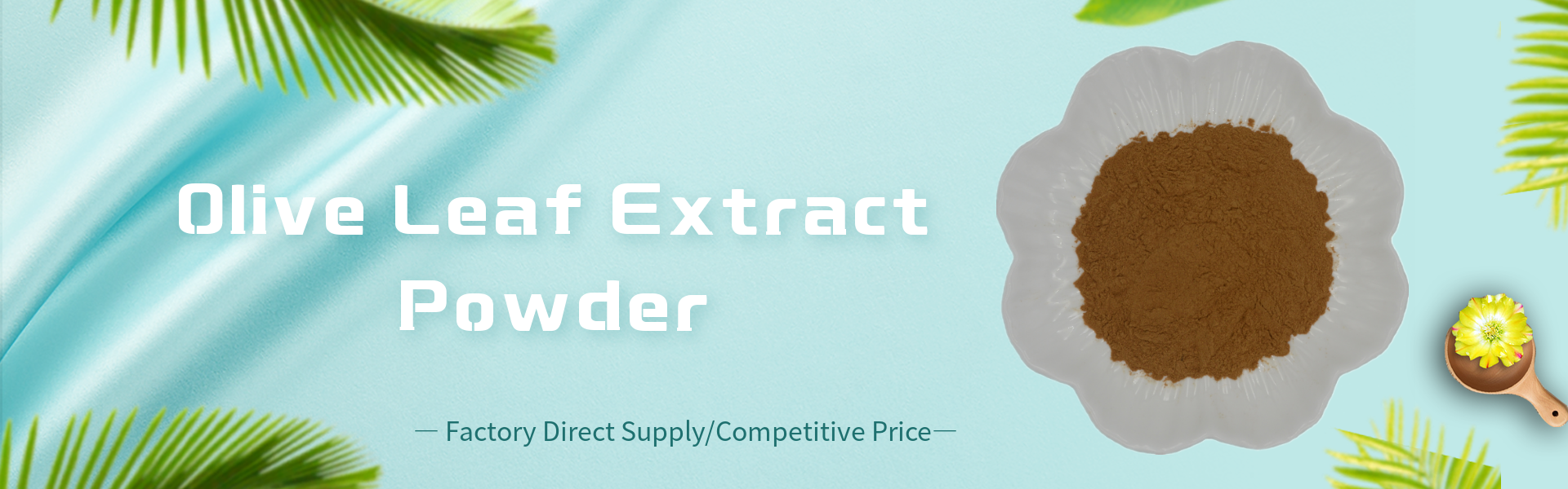 Olive leaf extract powder (2)