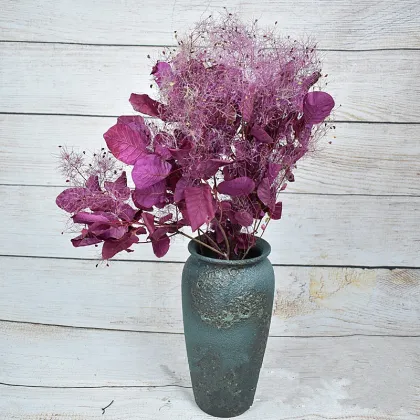 Wholesale Eternal Flower Smoke Tree for Floral Arrangements