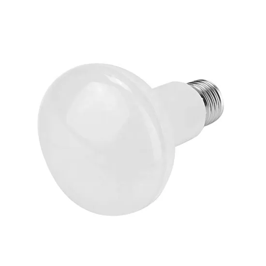 R80 E27 LED Bulb: 12W AC 85-265V Energy-Saving Lamp