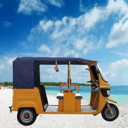 Bajaj Tuk Tuk 3 Wheel Motorcycle Motorized Tricycle