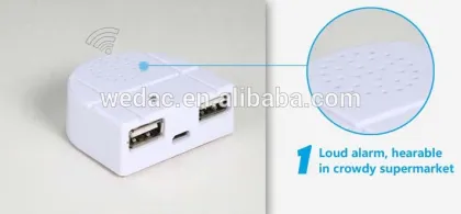 2 connection anti-theft security system