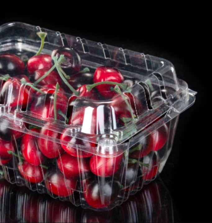 Conteneur de fruits en plastique pour les fruits