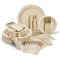 /company-info/1704567/eco-friendly-disposable-cutlery-set/alpio-250-piece-compostable-dinnerware-set-68290262.html
