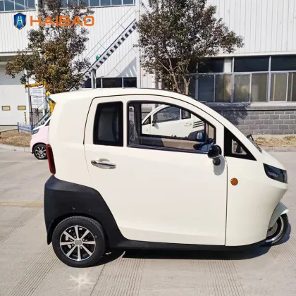 HAIBAO Brand 3 Wheeler Electric Car for Adults and Seniors