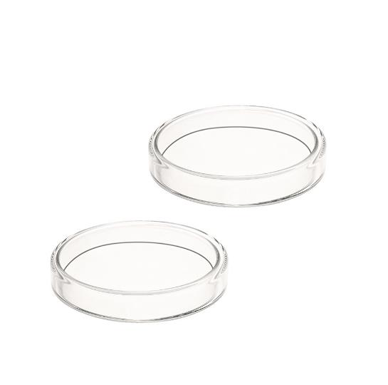 High Quality Transparent Glass Petri Dishes 100mm