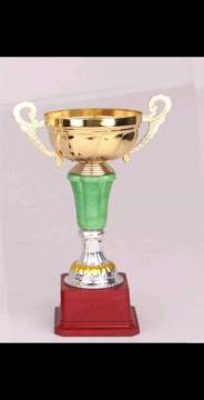 Metal trophy
