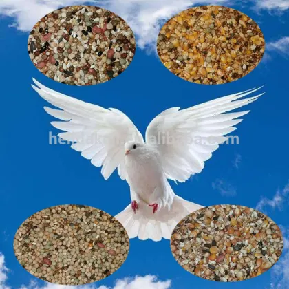 PG-5A Pigeon food polisher special polishing machine