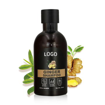 Etichetta privata all'ingrosso shampoo vegano proteico allo zenzero per capelli asciutti