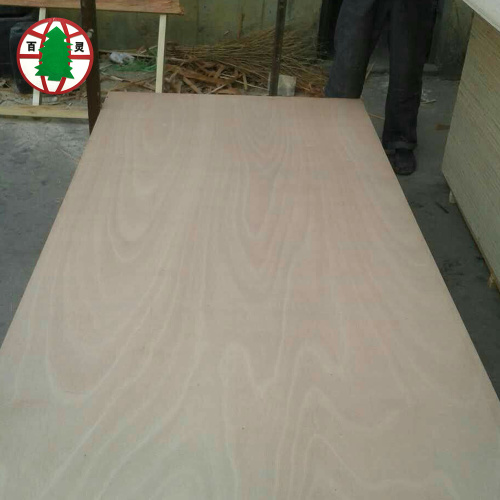 poplar core okoume veneer commercial plywood for furniture