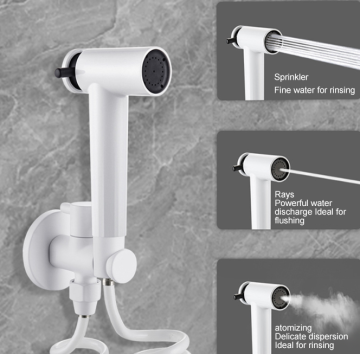 Affordable Toilet Bidet Sprayer with Self-Cleaning Brushed Gold ABS Shattaf