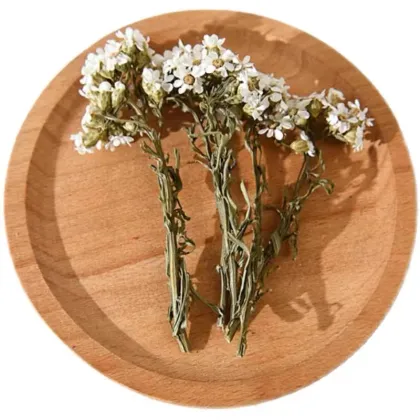 Natural Dried Flowers: White Daisy Flowers for Home Decor