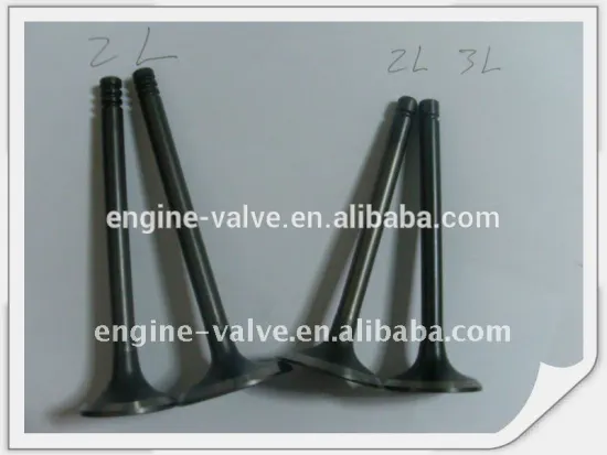 valves for TOYOTA 2F/2D/2C