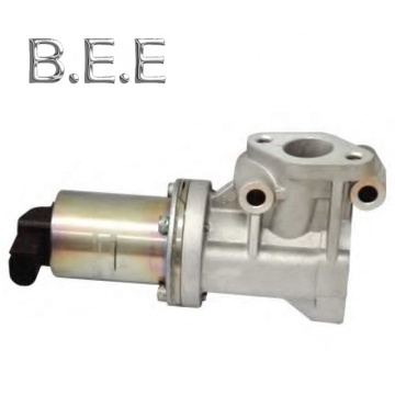 ERG VALVE 284102A120