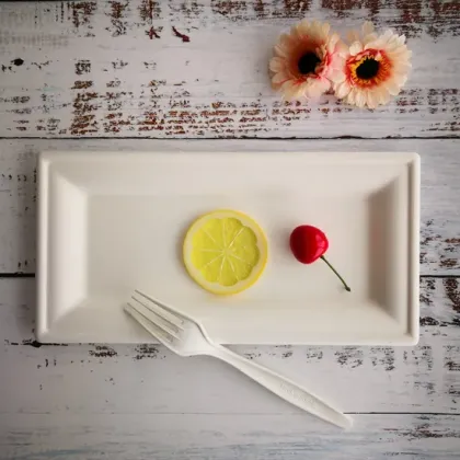 Eco-Friendly Disposable Tableware