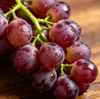 Red Seedless Fresh Grapes