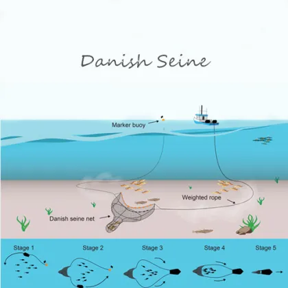 Generic Fishing Danish Seine
