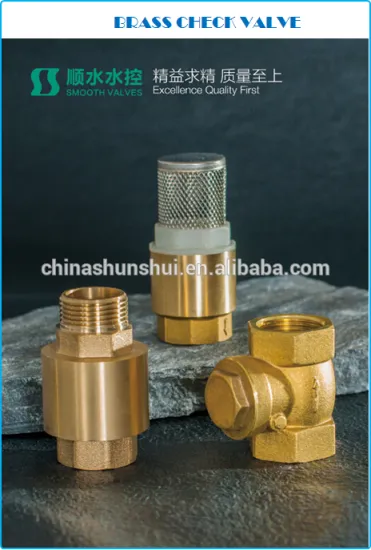 SS60201 Brass non return valve