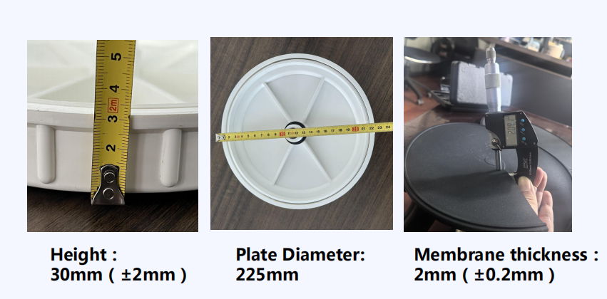 8inch product