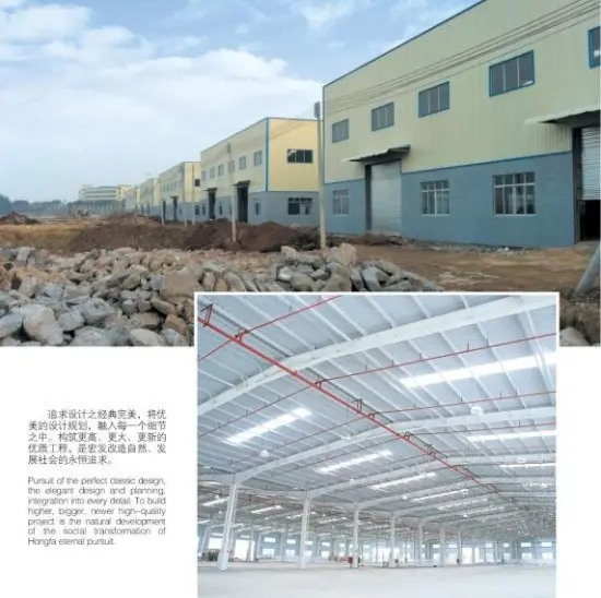 Erecting Steel Structure Warehouse for Logistics City
