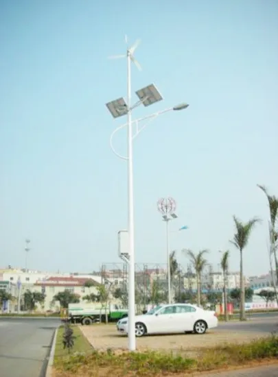 100w Wind Solar Hybrid Power System Off Grid Outdoor Street Lighting Life 10 Years