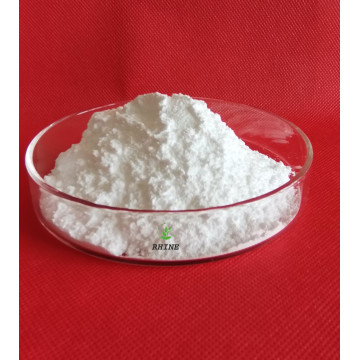 Benzocaine HCL CAS 23239-88-5 em pó