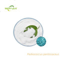 Pediococcus pentosaceus
