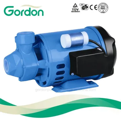 Good Price PM16 PEDROLLO Electric Motor Vortex Water Pump 0.5HP 1.0HP