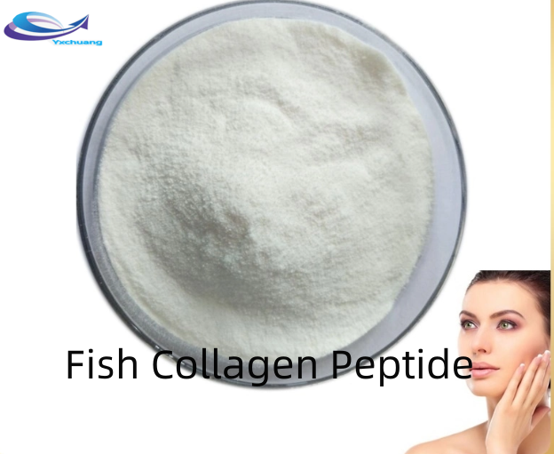 fish collagen peptide