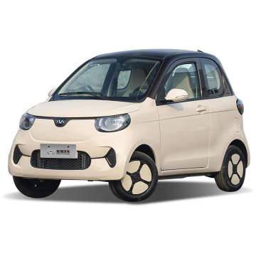 Xiaohu EV: New Arrival 2-Seater Mini Electric Vehicle