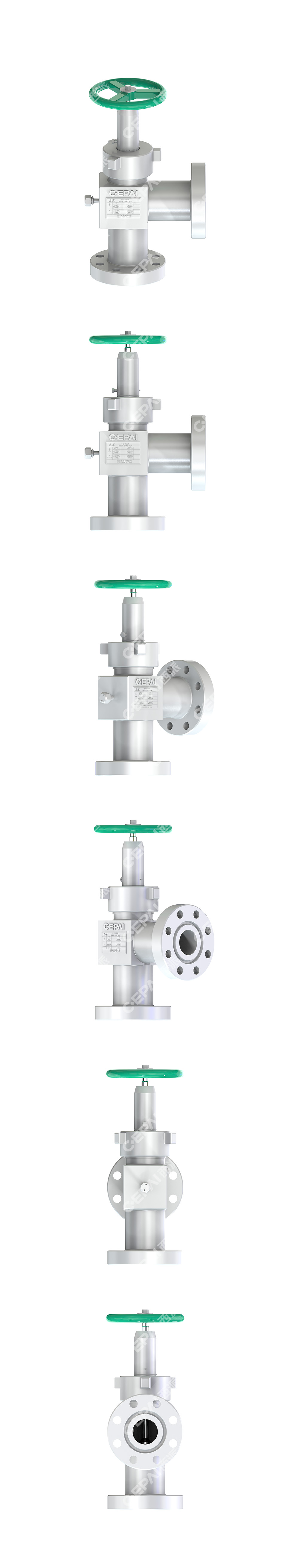 Needle Shaped Choke Valve1