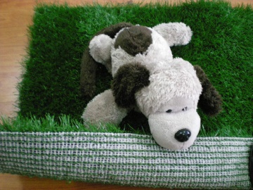 Pet Mat Grass