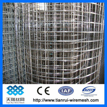 electro galvanized wire mesh
