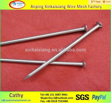 high quality common nails / black common nails factory