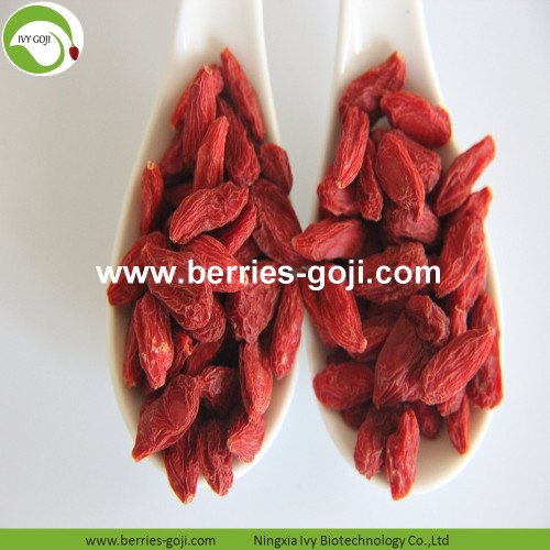 Dostawa fabryczna Owoce odchudzające Premium Goji Berries